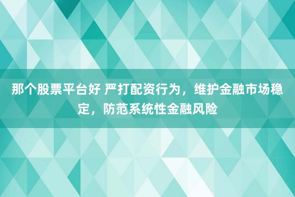 那个股票平台好 严打配资行为，维护金融市场稳定，防范系统性金融风险