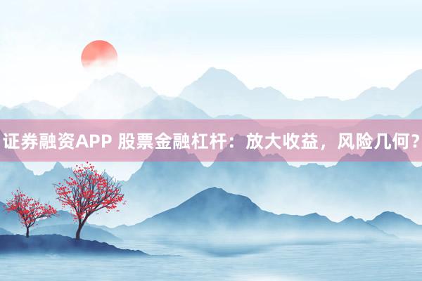 证券融资APP 股票金融杠杆：放大收益，风险几何？
