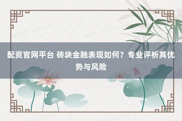 配资官网平台 砖块金融表现如何？专业评析其优势与风险