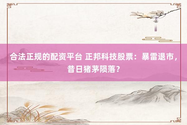 合法正规的配资平台 正邦科技股票：暴雷退市，昔日猪茅陨落？