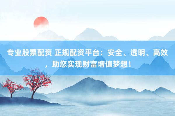 专业股票配资 正规配资平台：安全、透明、高效，助您实现财富增值梦想！