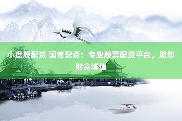 小盘股配资 国信配资：专业股票配资平台，助您财富增值