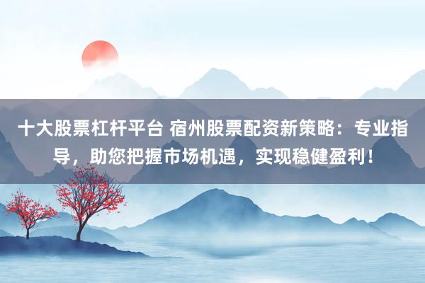 十大股票杠杆平台 宿州股票配资新策略：专业指导，助您把握市场机遇，实现稳健盈利！