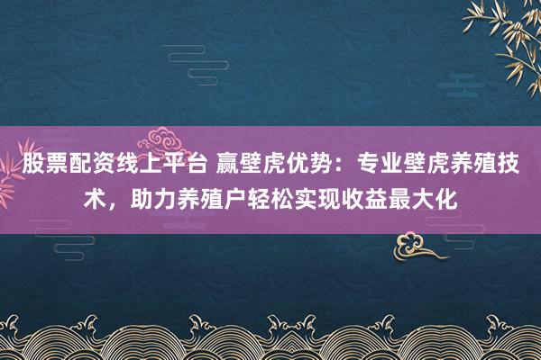 股票配资线上平台 赢壁虎优势：专业壁虎养殖技术，助力养殖户轻松实现收益最大化