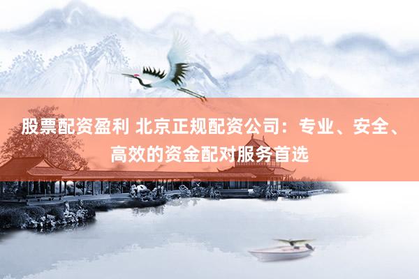 股票配资盈利 北京正规配资公司：专业、安全、高效的资金配对服务首选