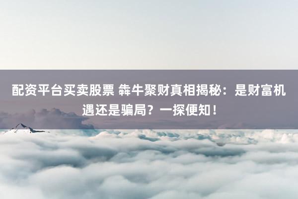 配资平台买卖股票 犇牛聚财真相揭秘：是财富机遇还是骗局？一探便知！