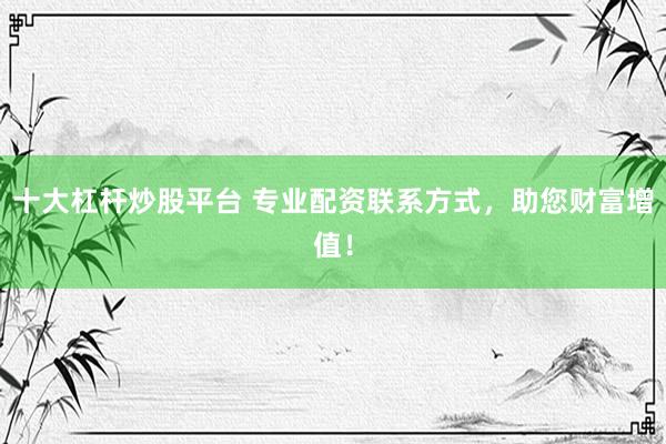十大杠杆炒股平台 专业配资联系方式，助您财富增值！