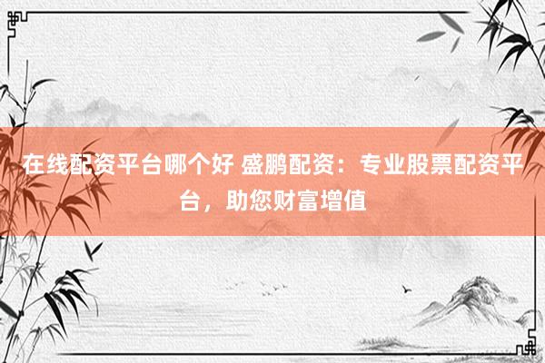 在线配资平台哪个好 盛鹏配资:专业股票配资平台,助您财富增值