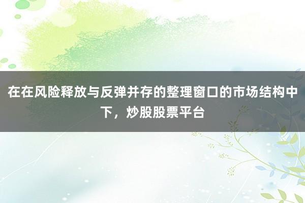 在在风险释放与反弹并存的整理窗口的市场结构中下，炒股股票平台