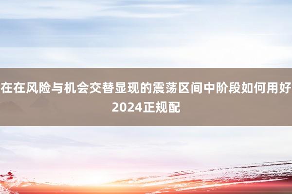 在在风险与机会交替显现的震荡区间中阶段如何用好2024正规配