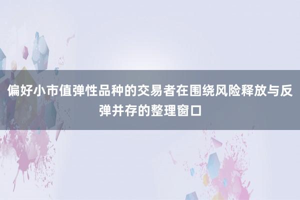 偏好小市值弹性品种的交易者在围绕风险释放与反弹并存的整理窗口