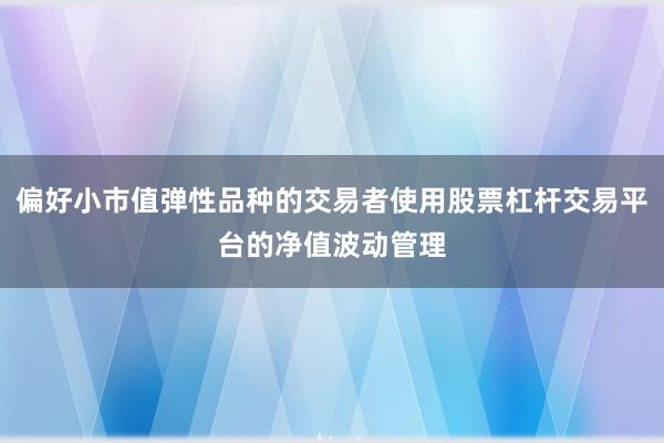 偏好小市值弹性品种的交易者使用股票杠杆交易平台的净值波动管理