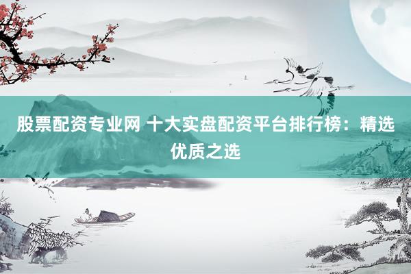 股票配资专业网 十大实盘配资平台排行榜：精选优质之选