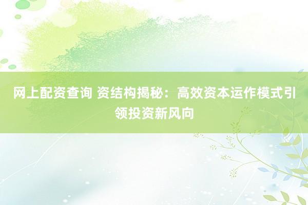 网上配资查询 资结构揭秘：高效资本运作模式引领投资新风向